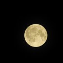 꽃.moon