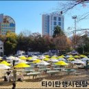 타이탄행사렌탈 이미지