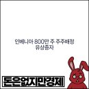 인베니아(주)