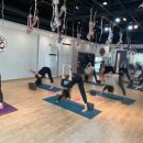 쁘램요가 이미지