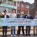 제주 생명나무숲 헤드라인제주