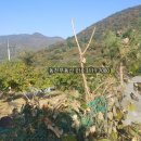 내서읍380 이미지