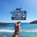 스파비알 네이버블로그