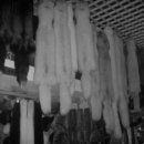 천지공원 이미지