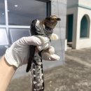 유리보건진료소 이미지