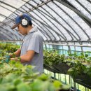 정재영농장 이미지