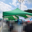 우리마트금산점 | 2026년 제6회 금산삼계탕축제 / 충남 금산 여행 / 여름 축제 / 몸보신