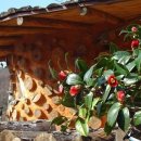 쌍둥이네흙집 이미지