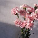 알로이시오힐링센터 이미지