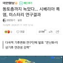 뉴질랜드 북부 500년 만의 폭우..산사태·침수 발생 이미지