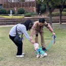 펫밀리