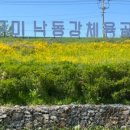 낙동강체육공원 제3주차장 이미지