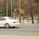 북진농장 이미지