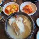 천수한방삼계탕 - 안양시 동안구 관평로 176 | [평촌역] 봄맞이 건강삼계탕으로 몸보신 하고 온 날 : 천수한방삼계탕 메뉴/주차/솔직후기