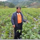 송천농장 이미지