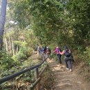 수리산둘레길 이미지