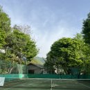 힐링펜션 | 숲속테니스장에서 낭만테니스 힐링테니스펜션 후기