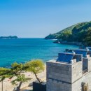 카누720애견풀빌라 이미지