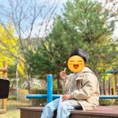 유아숲 | 강원도 영월에 아이와 가볼만한 곳, 무료로 하루종일 즐기는 꿈내린 유아숲체험원 후기