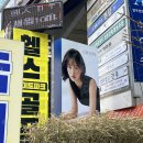 신데렐라카페 | 교대역미용실 :: 차심 교대 신데렐라 클리닉 나연실장님 상담 및 후기