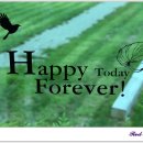 스타팰리스 이미지