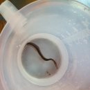 타이어 트랙 이미지