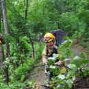 완월동119 이미지