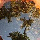 매룬통나무집 이미지