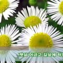 내 사랑 망초여 (난 어찌 하라고 ) 이미지