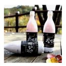 25년12월7일 첫째주일요일.월류봉 둘레길 (충북.영동)접수 이미지