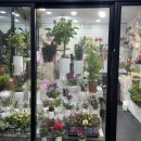 리치마트약국 이미지