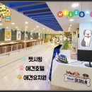 상신리코코네 이미지