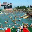 보성합기도체육관 이미지