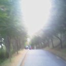 노적봉길 이미지