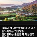 ✴제22대 국회의원 선거 사무일정. 이미지