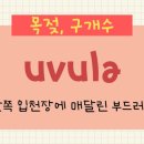 소화출판사
