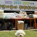파인드프로덕트