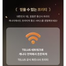 레이크홈 | [캐나다 워홀] #32 5월 밴프, 요호 국립공원 가볼 만한 곳 | 페이토&에메랄드 레이크 실시간 후기