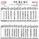 새찬송가 229장 - 아무 흠도 없고 (듣기/ 가사/ 악보/ mp3) 이미지