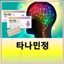 웰빙약초원 | 타나 민정 효능 완벽 가이드