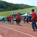 망마경기장 이미지