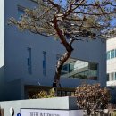 덕암북로 | 대전카페 커피인터뷰 새여울 신탄진카페 솔직후기