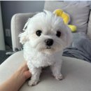 (주)하이제라네트웍스 | 7월 월말 결산 🌞 (부제 : 땀쟁이지만 여름은 즐기고 싶어 🥵)