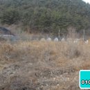 완월동168 이미지