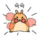 위스타트 복싱 이미지
