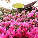 산과들에 펜션 이미지