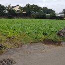 난산리마을회관 이미지