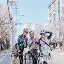 디케이레저 이미지