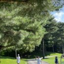 챔피언 골프스튜디오 이미지