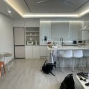 스테이소솜 이미지